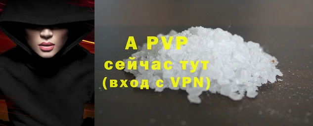 твердый Алзамай