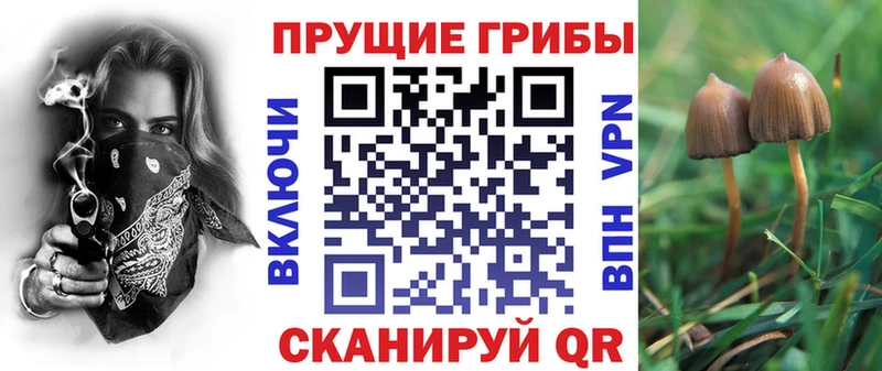mega онион  Арзамас  Псилоцибиновые грибы мухоморы 