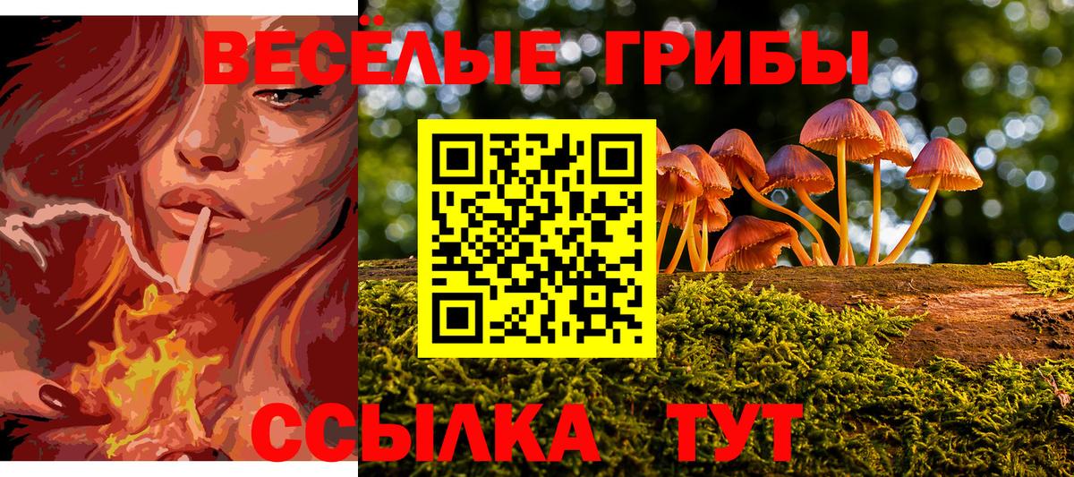 Галлюциногенные грибы мицелий Арзамас