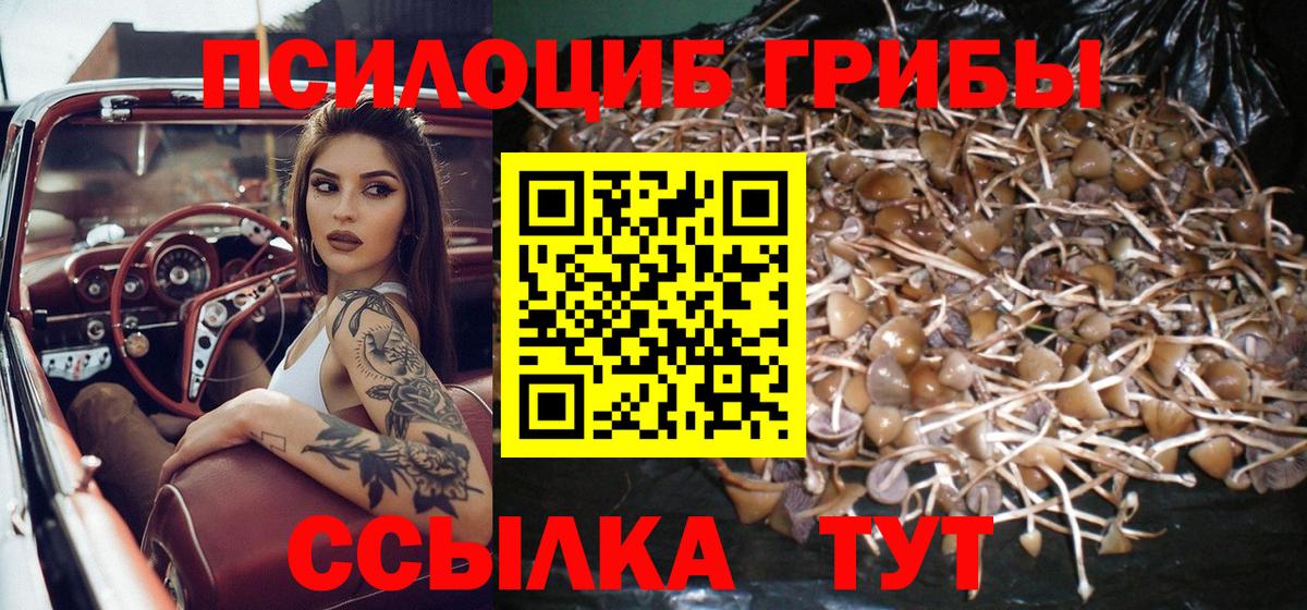 Псилоцибиновые грибы Psilocybe  Псилоцибиновые грибы MAGIC MUSHROOMS  Арзамас  Вход с VPN 
